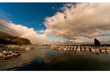 (버스)아름다운 섬~울릉도(독도 택) 2박3일(묵호 & 강릉출발) 2박3일