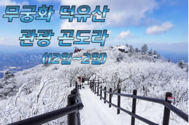 [무궁화/당일] 덕유산 눈꽃 / 관광곤도라 설경  무주구천동 / 하늘물빛정원 여행(당일)  -[12월~2월] 중식포함