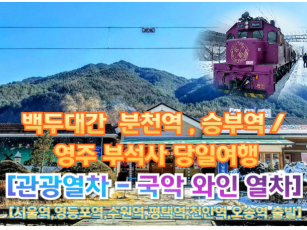 ﻿[국악와인열차-당일]협곡을 달리는 환상의 눈꽃열차~ 백두대간 환상선 [분천역/부석사] [백두대간 환상선] 12월14일(일)