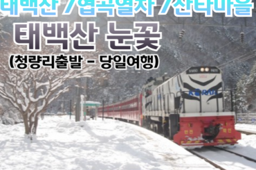 [태백/협곡열차] 백두대간협곡열차 / 환상선(승부) / 분천 산타마을 /태백산 눈꽃 여행(당일)