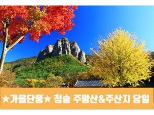 [수도권/경기권/전라권/충청권/경상권] ★가을단풍★ 청송 주왕산 / 주산지(당일) [서울역,천안아산역,대전역,부산역,울산역,마산역,동대구역 출발] 10월18일(토)~11월23일(일)