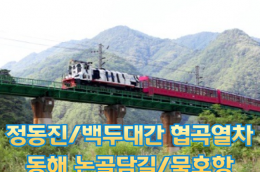 [관광열차/협곡열차] 백두대간협곡열차 / 정동진 / 동해 논골담길 / 묵호항 여행 (당일)