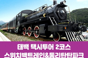 [청량리,대전출발] [태백택시투어 2코스] 통리탄탄파크 / 스위치백트레인 (당일) [최소2명이상, 수요일~일요일]
