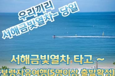 [서해금빛열차] [5명이상 무조건출발] 소규모로 즐기는 보령자유여행 (교통/입장료포함) [당일] [용산역,영등포역,수원역]