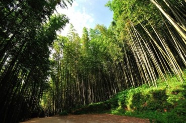 [수원출발] [KTX+무궁화호]남도별미 2박3일 여행 (담양/곡성/남해/여수/순천) [호텔]-4월부터~[8명]~