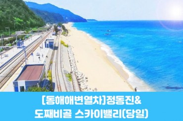 [수도권,충청권,경상권] [동해해변열차] 정동진 / 도째비골 스카이밸리(당일)  [청량리역,대전역,동대구역,포항역,마산역,창원역,부전역,셈텀역,북울상역,경주역]