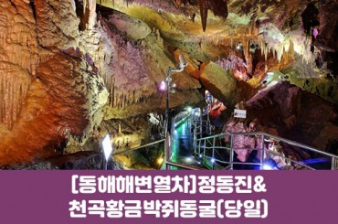[수도권,충청권,경상권] [동해해변열차] 정동진 / 천곡황금박쥐동굴 (당일)  [청량리역,대전역,동대구역,포항역,마산역,창원역,부전역,셈텀역,북울상역,경주역]