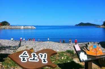 [KTX]남도 진수성찬! 강진 가우도 / 슬로시티 청산도 1박2일 (4식) ~