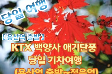 [KTX -용산역] [단풍]- 백양사 애기 단풍 여행 (당일)  10월24일~11월15일 [용산역~정읍역]