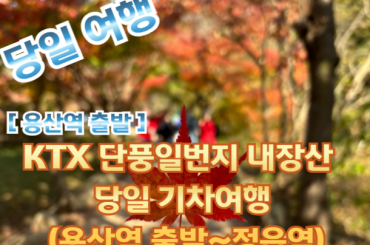 [KTX -용산역] 단풍일번지 내장산 당일 기차여행  (당일) 10월24일~11월15일 [용산역~접읍역]