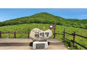 [ITX-청춘/1박2일] 4~10월(8월제외) 인제 곰배령 힐링트레킹/ 속초  [해수욕장 / 영랑호] 1박 2일 여행