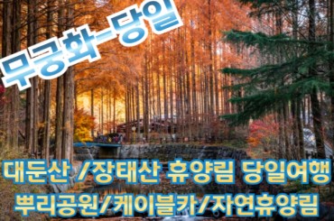 [무궁화호] 대둔산 케이블카 /구름다리 / 장태산 자연휴양림 당일치기기차여행- [3월~11월] 서울역,영등포역,수원역