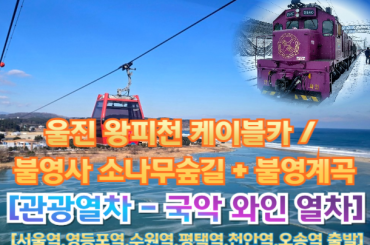 [국악와인열차-당일] 울진 왕피천 케이블카 / 불영사 소나무숲길 (당일)  [8월 23일(일)] [서울역, 영등포역, 수원역, 평택역, 천안역,오송역]