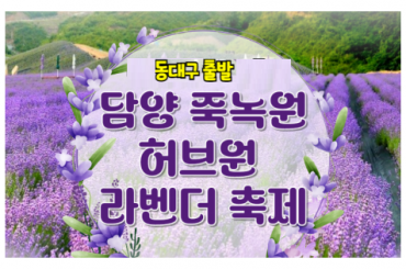 [KTX - 동대구출발] 담양(죽녹원/메타쉐콰이어길) / 보랏빛 향기 가득한 정읍 라벤더 축제 당일여행 -중식포함 [ 5/23~6/30 ]