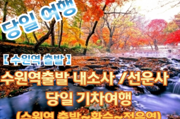 [새마을호-수원역출발 07:03] [단풍]-  내소사 / 선운사 기차여행여행 (당일) 10월24일~11월15일 [수원역,천안역,서대전역]