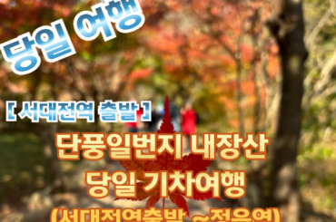 [새마을호 -서대전역 10:37] [단풍] 단풍일번지 내장산 당일 기차여행  (당일)  10월24일~11월15일 [서대전역,논산역,계룡역]