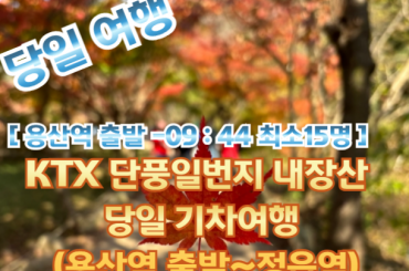 [KTX -용산역] 단풍일번지 내장산 당일 기차여행  (당일)10월24일~11월15일 [용산역 10:32 출발]