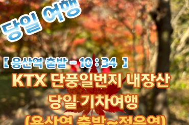 [KTX -용산역] 단풍일번지 내장산 당일 기차여행  (당일)10월24일~11월15일 (용산역 10:32 출발)