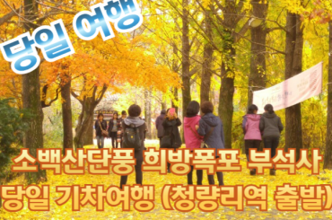 [가을단풍] 소백산단풍 희방폭포 부석사 당일여행 [청량리역,양평역]  [10월17일~11월8일]
