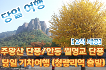 [ITX- 가을단풍] 주왕산 단풍 / 안동 월영교 단풍 당일여행 [청량리역,양평역] [중식,석식] 10월25일~11월8일