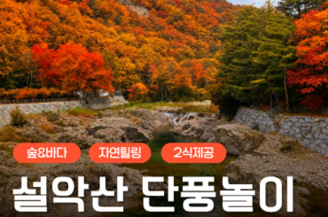 [ITX /가을단풍] 내설악 백담사뎨곡 / 고성 송지호 바다정원 당일여행 [용산역,청량리역] - 2식제공 [10월~11월]