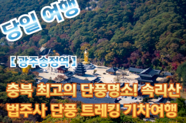 [광주송정역-당일] 충북 최고의 단풍명소! 속리산 법주사 단풍 트레킹 당일기차여행 [10월17일~11월21일]