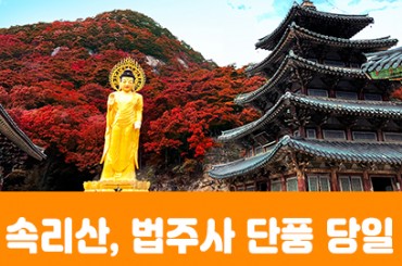 [수도권/경기권/전라권/충청권/경상권] ★가을단풍★ 속리산 법주사/세조길(당일) 10월17일(토)~11월22일(일) [토,일]