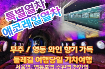 [특별열차-에코레일 열차]   무주 /영동 와인 향기 가득 둘레길 여행 (당일)  [7월 11일(토) ] [서울역,영등포역,수원역,천안역]