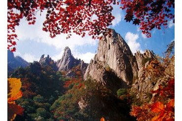 [ KTX - 당일]  강원도  설악산(남설악) 가을단풍 / 오죽헌 여행(당일) 10/17~11/15