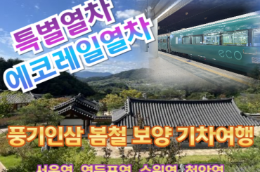 [특별열차-에코레일 열차] 풍기인삼 봄철 보양  기차여행 (2식포함- [인삼갈비탕/칠향계 삼계탕]) (당일) [트레인스토랑] [5월 2일(토) ] [서울역,영등포역,수원역,천안역]