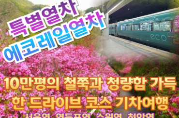 [특별열차-에코레일 열차] 10만평의 철쭉과 청량함 가득한 드라이브 코스 기차여행  (당일)  [5월 10일(일) ] [서울역,영등포역,수원역,천안역,서대전]