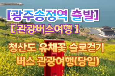 [버스투어- 광주역광장-당일] 청산도 유채꽃 슬로걷기 버스여행 (당일)