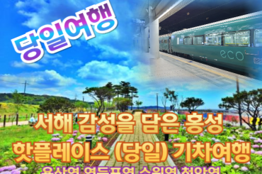 [변경[당일 / 무궁화호 열차] 서해 감성을 담은 홍성 핫플레이스 여행  (당일)  [6월20일(토) ] [용산역,영등포역,수원역,천안역]
