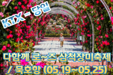 [ KTX -당일] 다함께 로~즈 삼척 장미축제 / 묵호항 (당일) (5월19~25일) [ 청량리역 ]