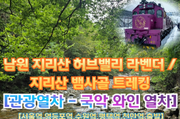 [국악와인열차-당일] 남원 지리산 허브밸리 라벤더 / 지리산 뱀사골 트레킹 (당일)  [ 7월 4일, 26일] [서울역, 영등포역, 수원역, 평택역, 천안역,서대전역]