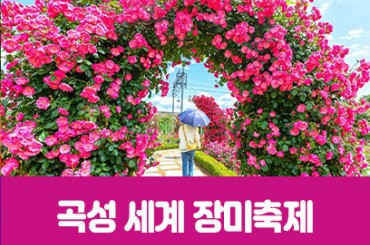[수도권,경산권,전라권,경기권 출발] [ 봄꽃 ] 곡성세계장미축제 / 광한루원 ( 당일) [용산역,광명역,전주역,수원역,울산역,진주역,동대구역,부전역]