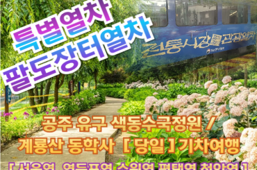 [특별열차-팔도장터열차(당일)] 공주 유구 색동수국정원 / 계룡산 동학사 (당일) [ 6월 27일(토) ] 서울역,영등포역,수원역,평택역,천안역 ,서대전역