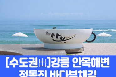 [수도권,충청권출발]  강릉 안목해변 / 정동진 바다부채길(당일) [서울역,청량리역,양평역,대전역,오송역,천안아산역] [최소출발인원4명]