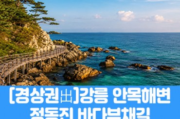 [경남권,경북권 출발]  강릉 안목해변 / 정동진 바다부채길(당일) [부전역,태화강역,포항역,경주역,영천역,하양역,동대구역 ] [최소출발인원4명]