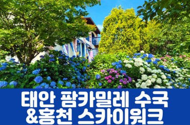[수도권,충청권,경상권,전라권] 태안 팜카밀레 수국축제 / 홍성 스카이타워 (당일) 6월13일~7월26일  [서울역,수원역,목포역,광주송정역,익산역,부산역,경주역,마산역,동대구]