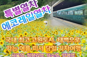 [특별열차 - 에코레일열차] 국내 최고 고원도시, 태백으로 가는 여름 피서  (당일)  [ 7월25일(토) ] [서울역,청량리역,덕소역,양평역 ]