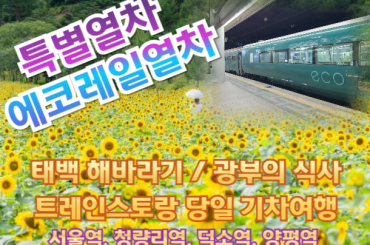 [특별열차 - 에코레일열차] [트레인스토랑]  태백 해바라기 /광부의 식사 기차여행  (당일)-2식포함  [ 7월25일(토) ] [서울역,청량리역,덕소역,양평역 ]