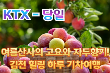 [ KTX -당일] 여름산사의 고요와 자두향기! 김천 힐링 하루 기차여행 (당일) 6월24일~7월31일(화수금토) [서울역,광명역]