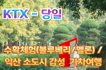 [ KTX -당일] 새콤달콤~ 수확체험(블루베리/멜론) / 익산 소도시 감성 하루 기차여행 (당일) 6월20일~8월29일(화수금토) [용산역,광명역]
