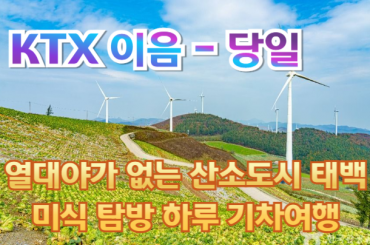 [ KTX 이음 -당일] 열대야가 없는 산소도시 태백 미식 탐방 [초록뿔사슴목장] 하루 기차여행 (당일)-2식제공 7월11일~8월30일(화목토일) [서울역,청랭리역]