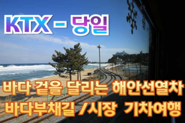 [KTX-당일]바다 곁을 달리는 해안선열차와 바다부채길/ 강릉중앙시장(당일)