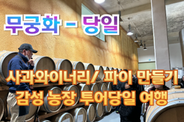 [무궁화호-당일] [충남 예산] 사과과수원의 사과와이너리 ( 시음/사과파이 만들기) 감성 농장 투어  7월17일/8월17일 25일 [용산역,영등포역,수원역,평택역,천안역] 충남-예산 30명 선착순