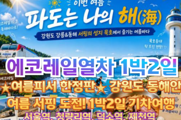 [특별열차-에코레일 1박2일] ★여름피서 한정판★ 나도 파도 탈래! 강원도 동해안 여름 서핑 도전! 투어 1박2일기차여행 8월8일(토) -서울역,청량리역,덕소역,제천역
