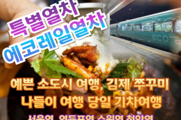 [특별열차-에코레일 열차] 예쁜 소도시 여행, 김제 쭈꾸미 나들이 여행 (당일) -2식제공  [8월 30일(일) ] [서울역,영등포역,수원역,천안역]