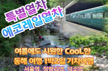 [특별열차-에코레일 1박2일] ★여름피서 한정판★여름에도 시원한 CooL한 동해 1박2일기차여행 8월8일(토) -서울역,청량리역,덕소역